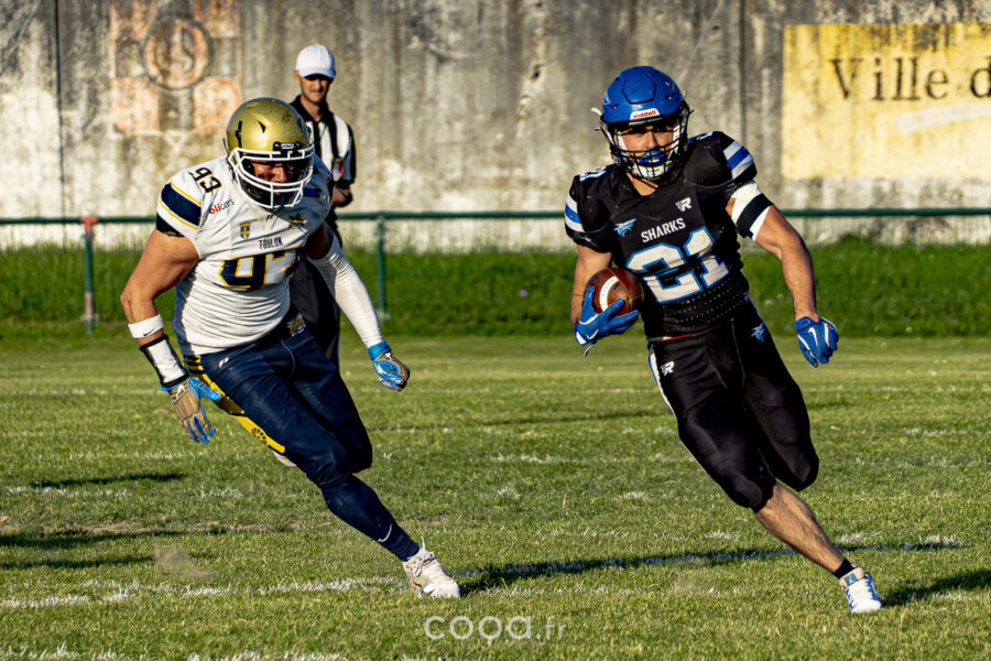 Match des Sharks de Valence – saison 2025-2026