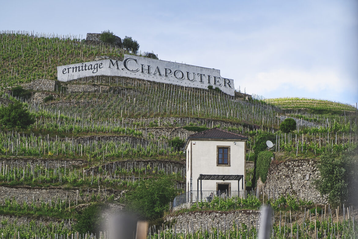 meilleur domaine viticole