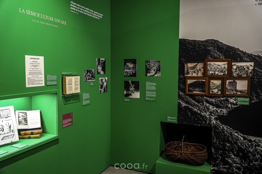 Le musée Montagut